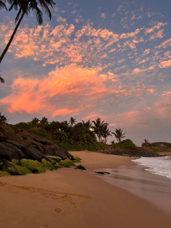 Coconut Palm beach restaurant and rooms - image 2
