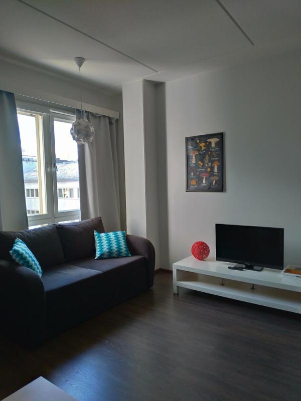 Apartment with Sauna - Väinönkatu image 4