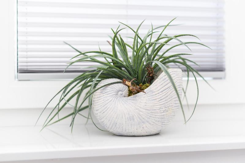 Ferienhaus Küstenfein - image 35