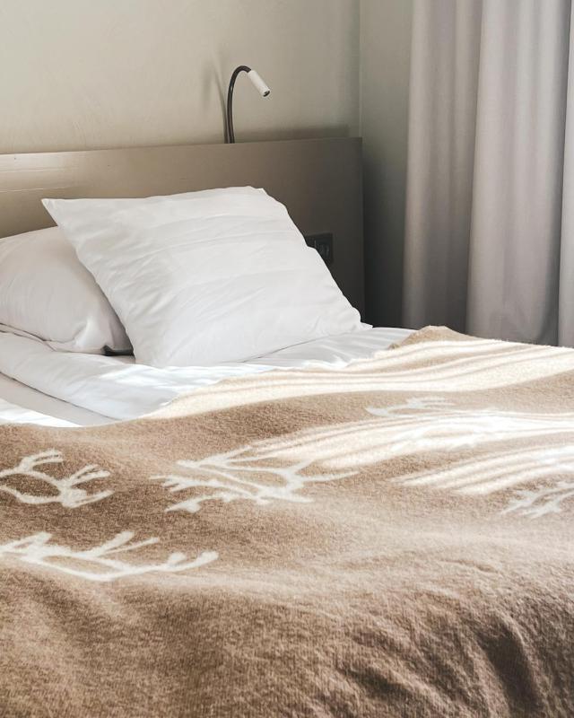 Standard Single Room image 3
