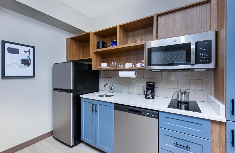 King Studio Suite image 3
