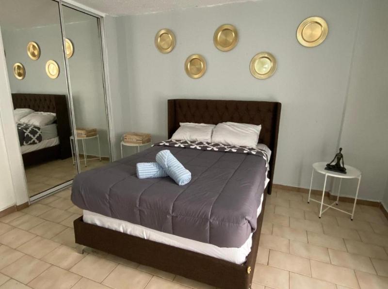 One-Bedroom Apartment image 3