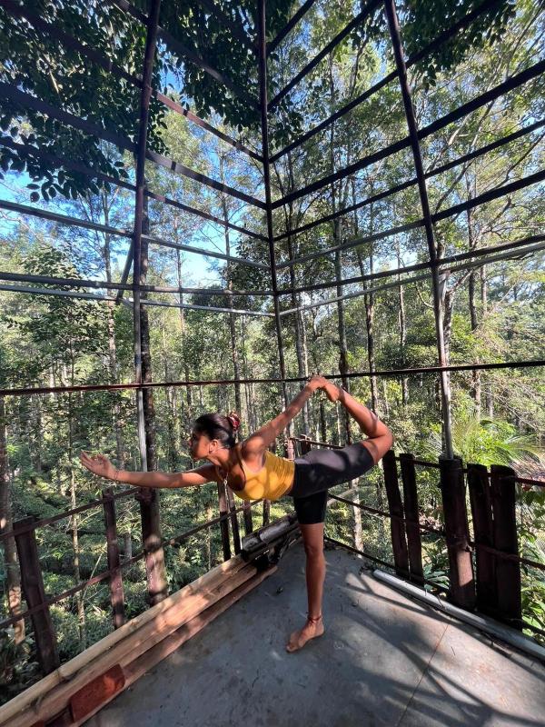 Jungle Tree House Munnar - image 12