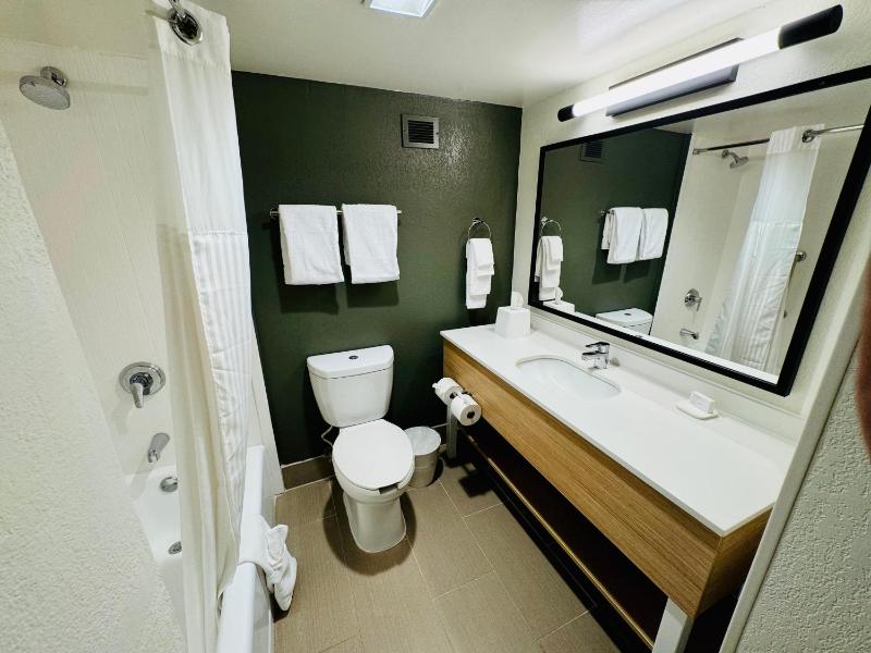 King Room image 2