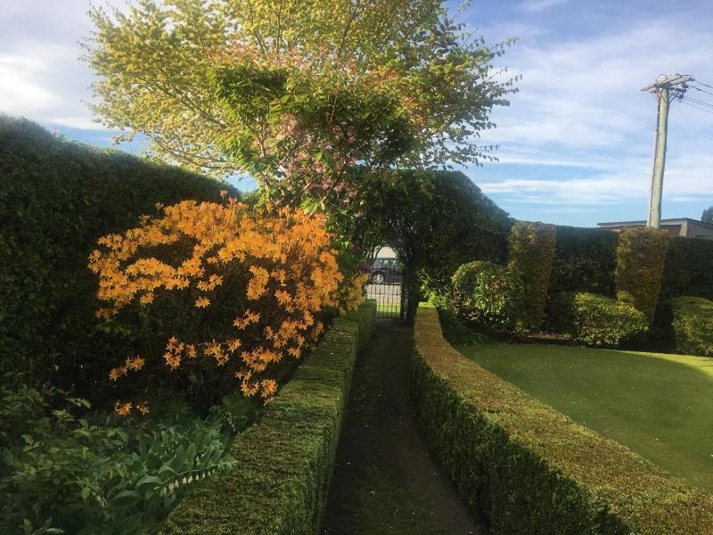 Calm Swan Villa - image 13