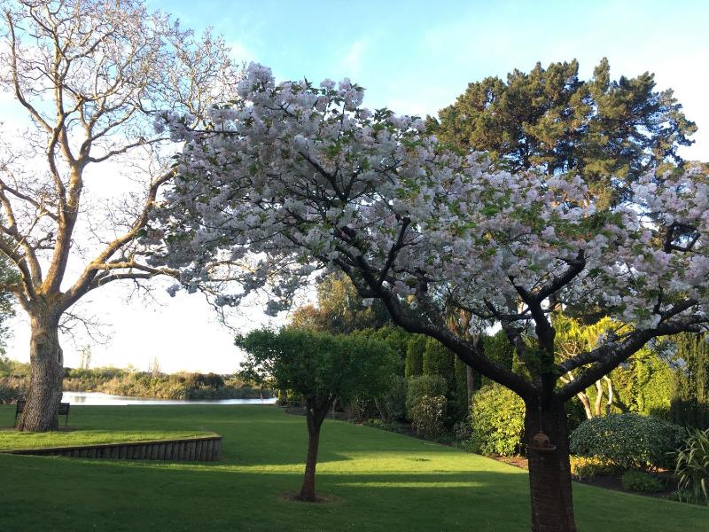 Calm Swan Villa - image 25