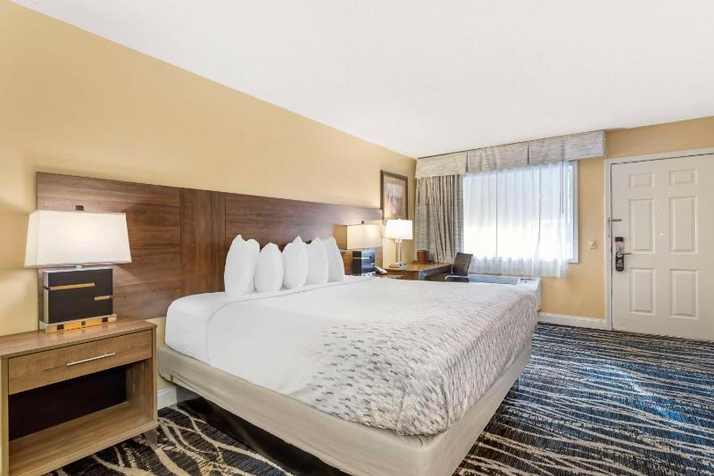 King Room with Roll-In Shower - Disability Access image 3