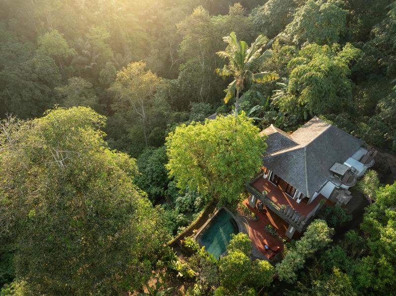 Villa Leona Valley View Ubud - image 1