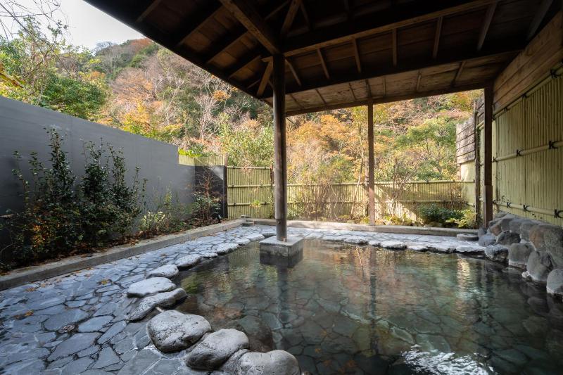 Onsen Guest House Tsutaya - image 12