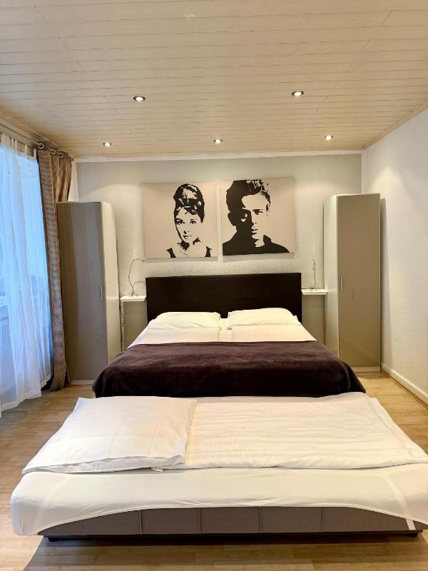 Economy Apartment with 2 bedrooms No Rhine River View  image 3