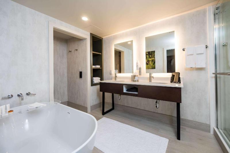 Luxe King Room with Walk-In Shower image 3