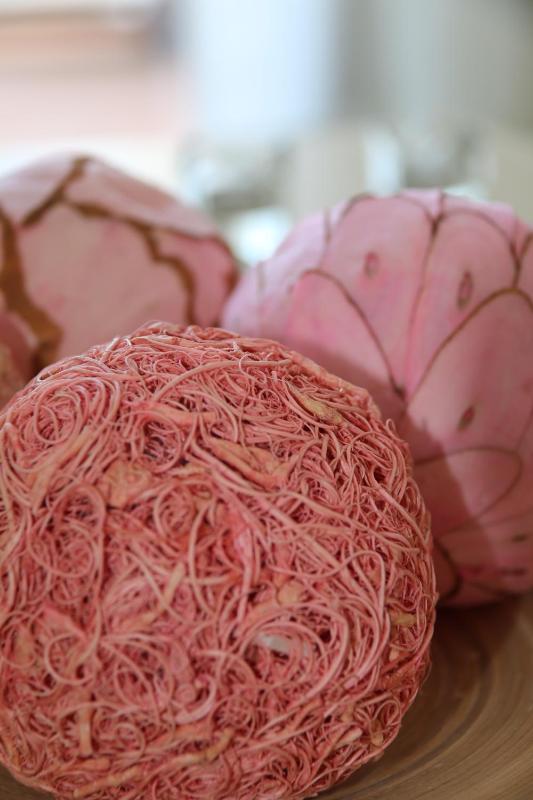 Apartment with Terrace image 1