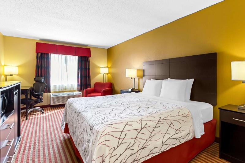 King Room image 1