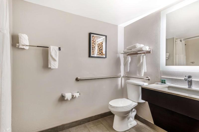 King Room with Walk-In Shower image 2