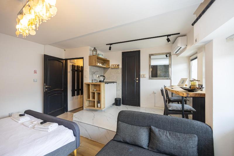One-Bedroom Apartment image 4