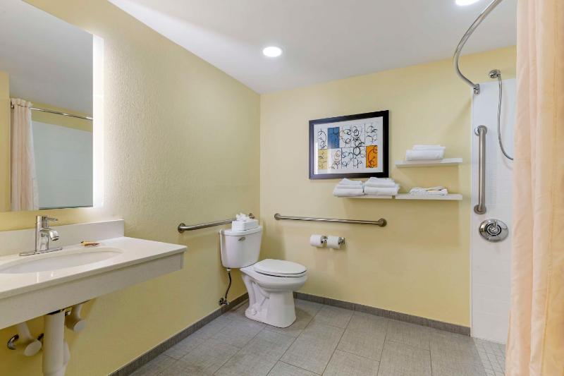 King Room with Roll-In Shower - Disability Access image 2