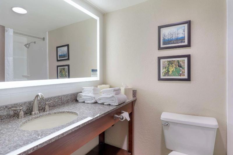 King Room - Non-Smoking image 3