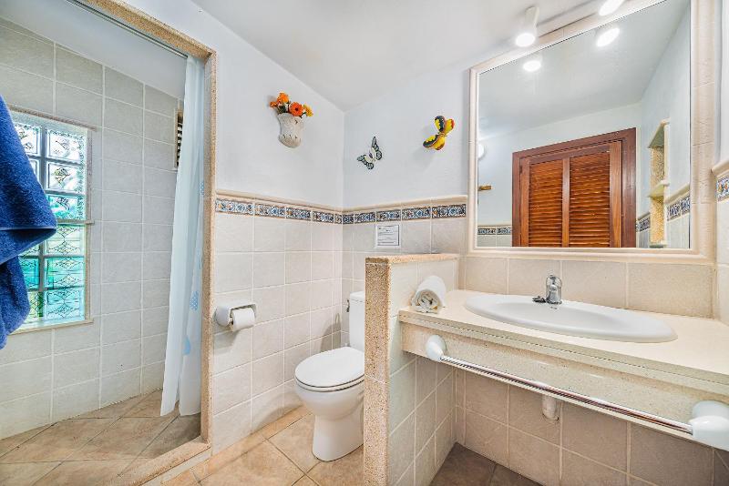 Villa La Rosaleda - By Dream Villas Pollensa - image 11