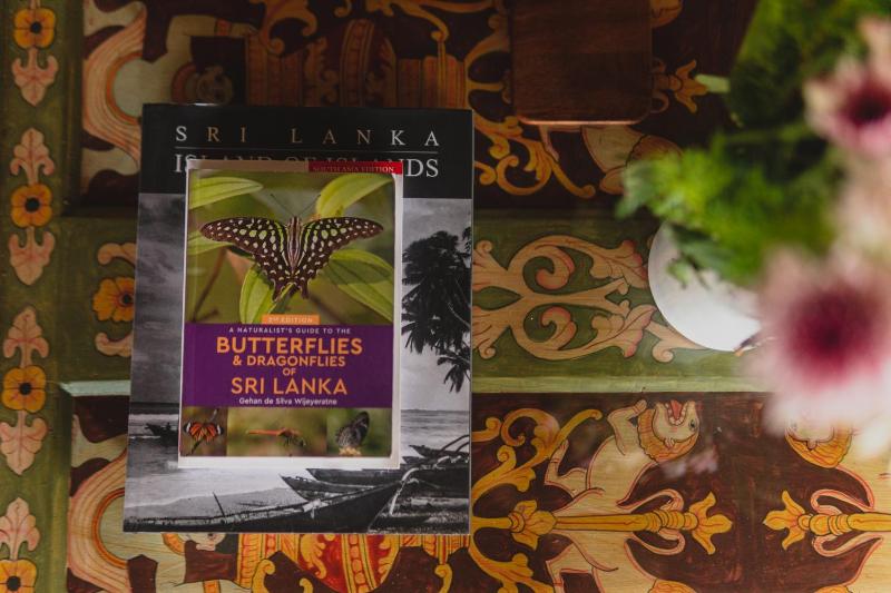 Villa Monkey House Tangalle - image 3
