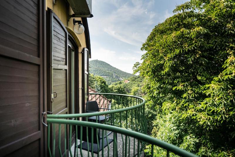 Double or Twin Room with Balcony and Mountain View image 3