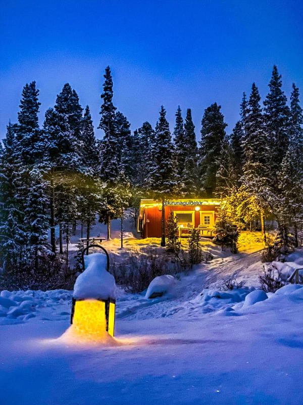 Arctic Light Suite image 4