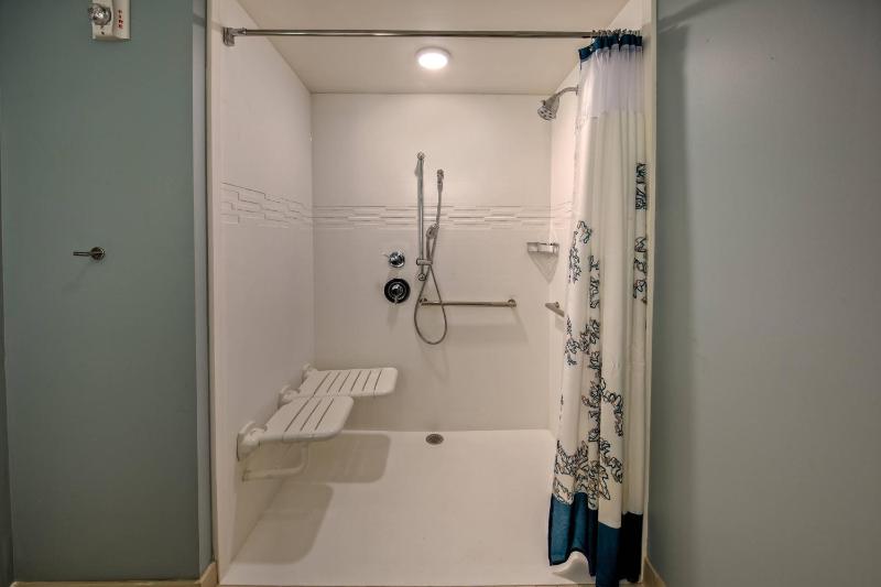 King Studio Suite with Sofa Bed and Adapted Tub - Mobility Accessible image 3
