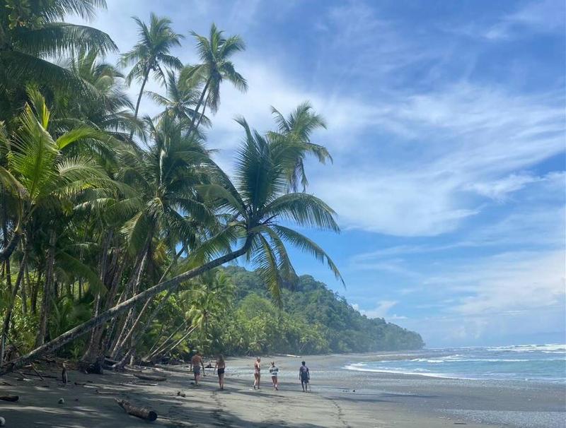 Casa Cucula - is awesome! Walk to the surf - image 12
