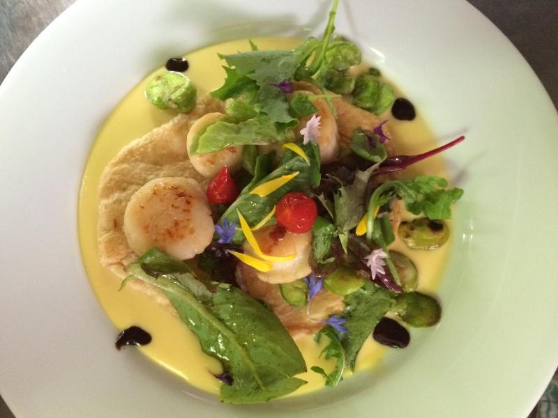 Logis Hotel Restaurant Le Flamant Rose camargue - image 29