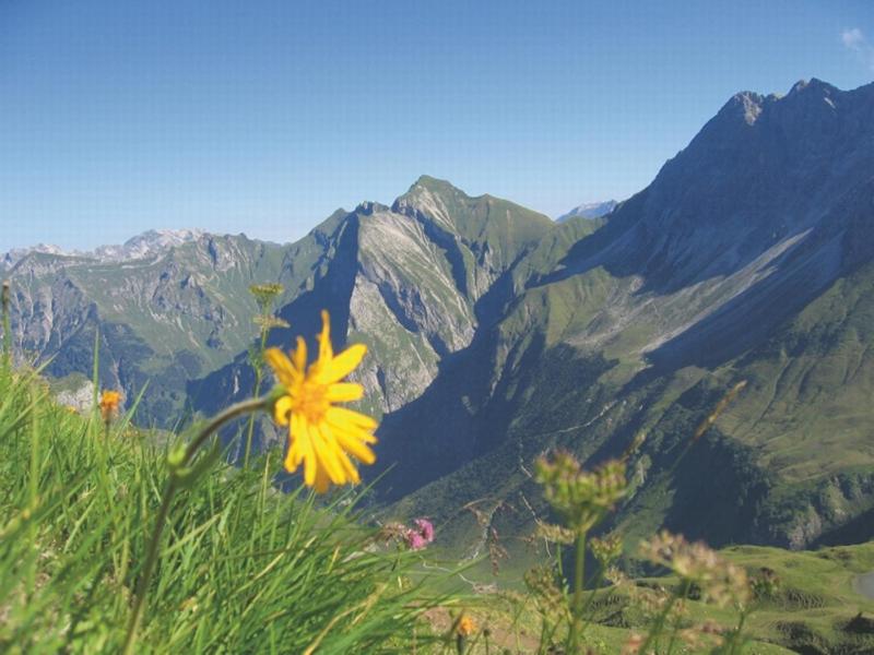 Bergzeit Ferienwohnungen - image 12