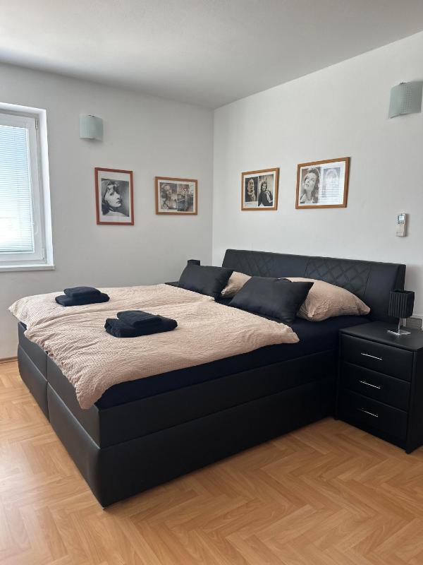 Hotel Muza - image 47