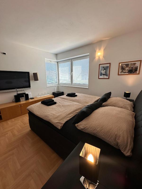 Hotel Muza - image 13