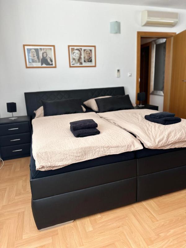 Hotel Muza - image 11