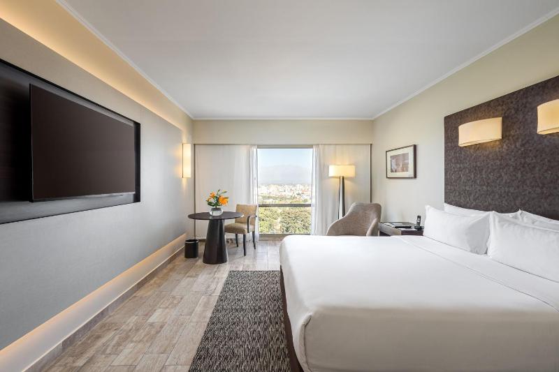 Sheraton Salta Hotel - image 11