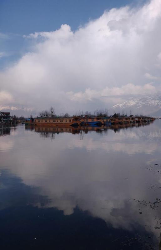 Island hotel and homestay - image 15