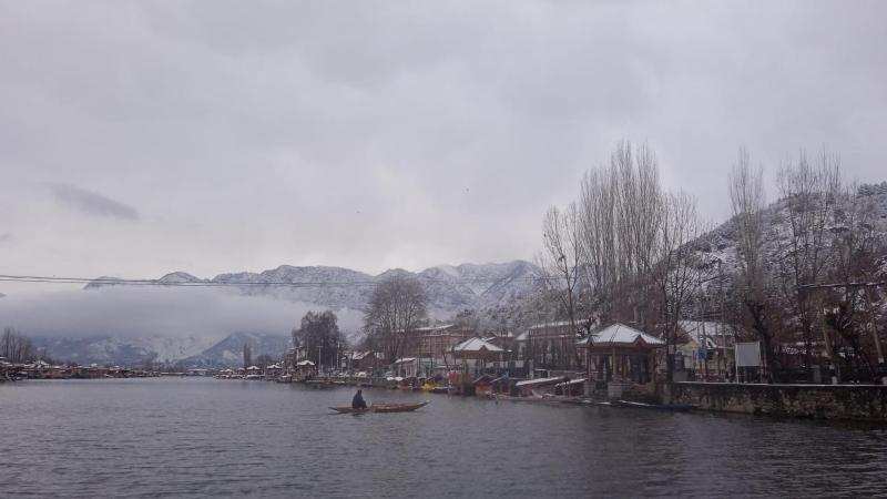 Island hotel and homestay - image 6