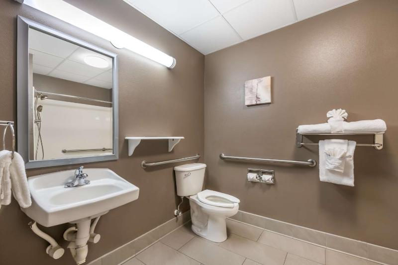 King Room with Sofa Bed and Roll-In Shower - Mobility Accessible image 2