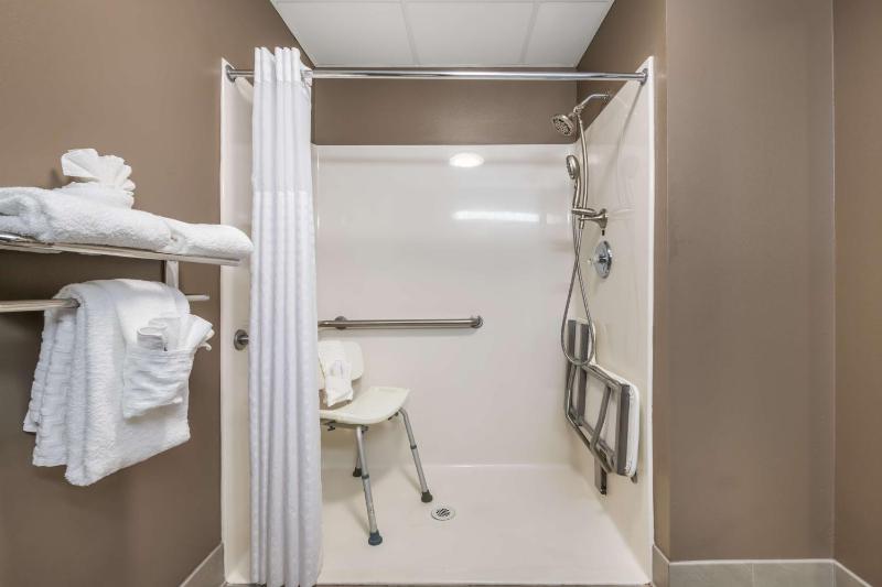 King Room with Sofa Bed and Roll-In Shower - Mobility Accessible image 3