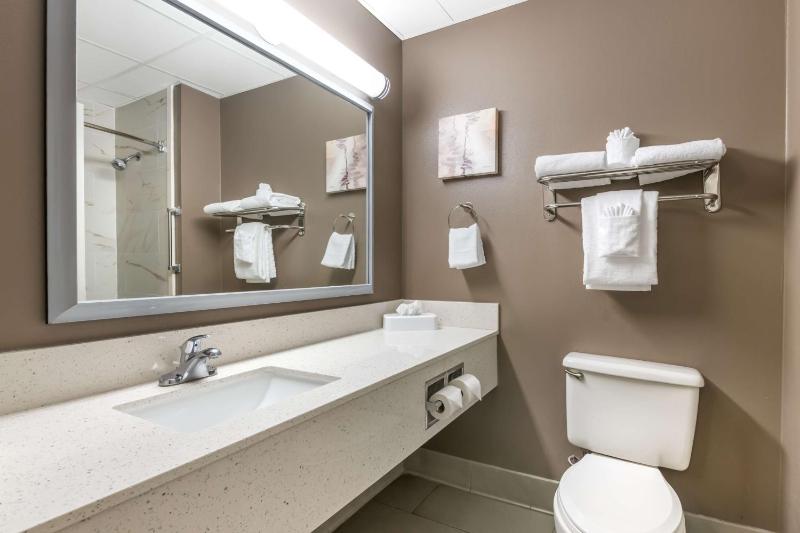 One-Bedroom King Suite with Sofa Bed image 2
