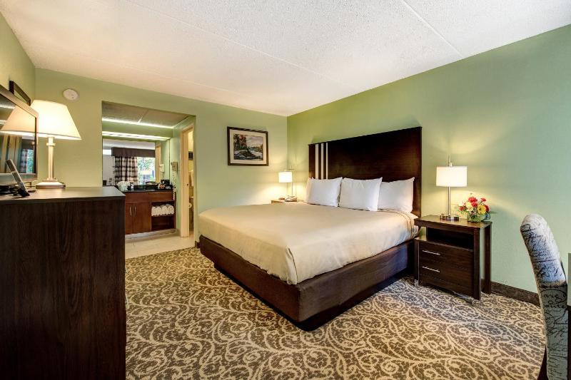 Standard King Room image 1