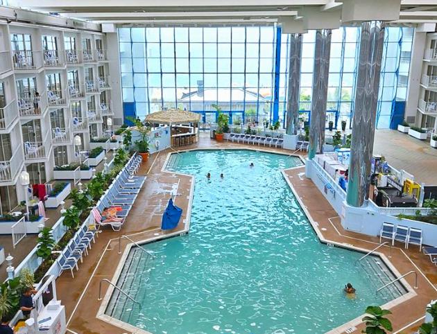 Queen Suite with Pool View image 2