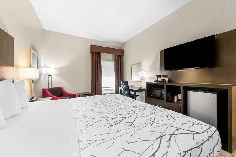 King Room image 3