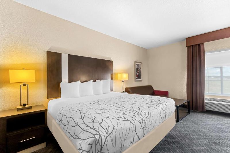 King Room with Sofa Bed image 1