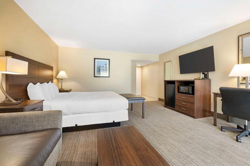 Large King Room - Non-Smoking image 3