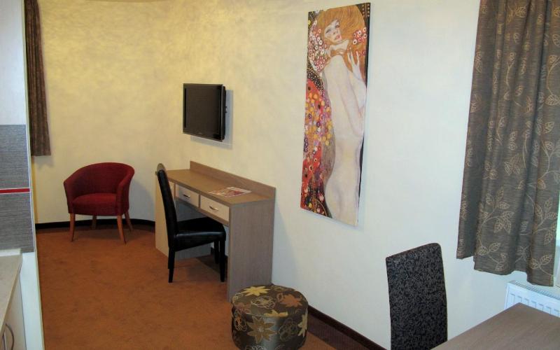 Studio with Extra Bed image 3