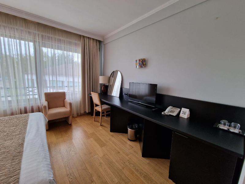 Superior Double Room image 3