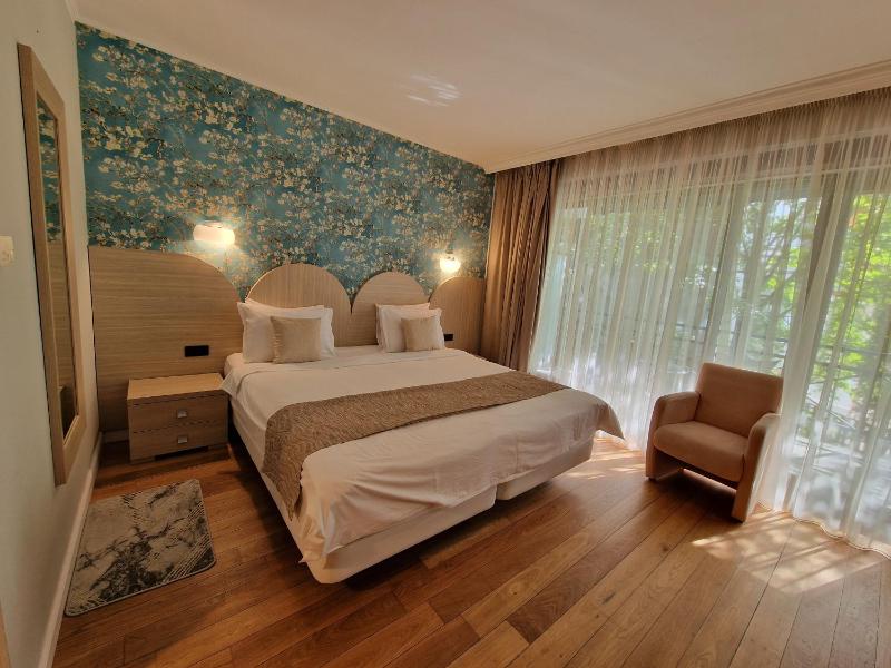 Superior Double Room with Balcony image 3