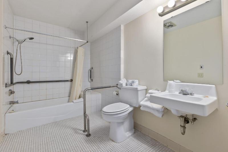 Deluxe King Suite image 2