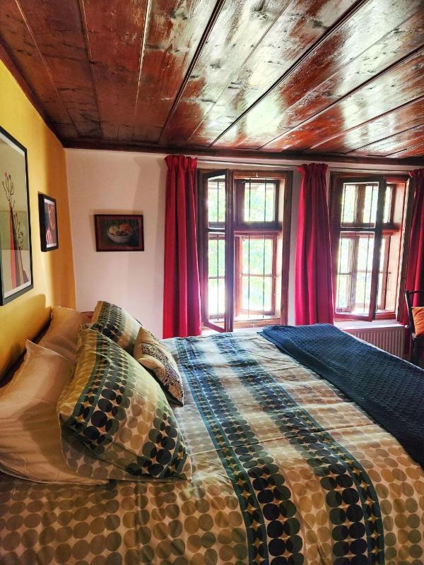Deluxe Double Room with Shower image 4