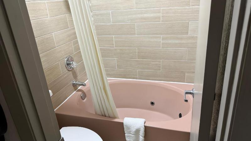 Deluxe King Suite image 4