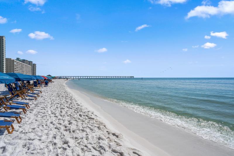 Seas The Day - image 8